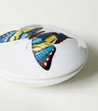 Fornasetti Farfalle porcelain container