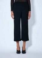Issey Miyake Hatching Pleats Pants