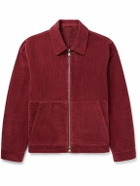 Mr P. - Cotton-Corduroy Blouson Jacket - Burgundy