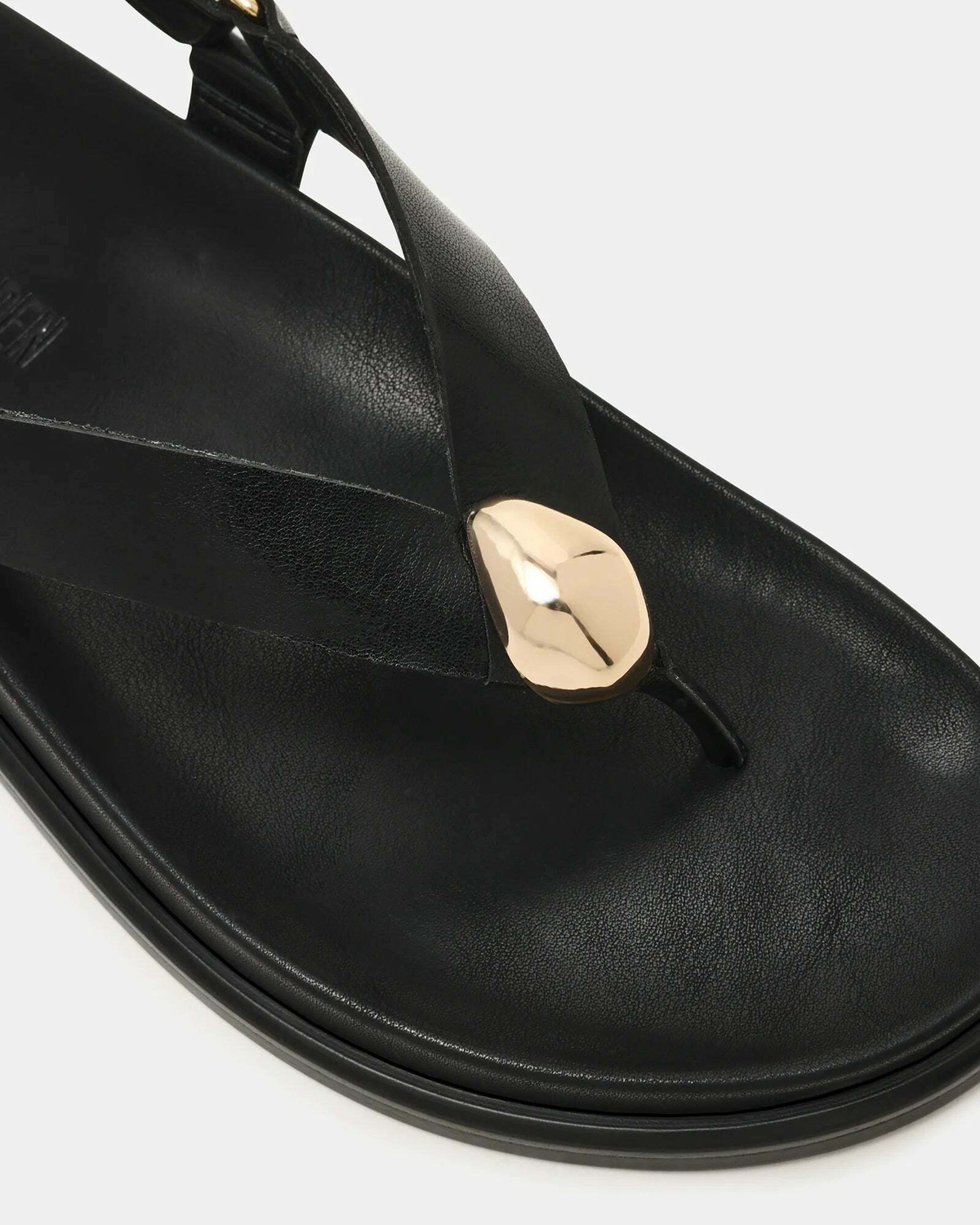 Steve Madden Elvia Sandals in Black