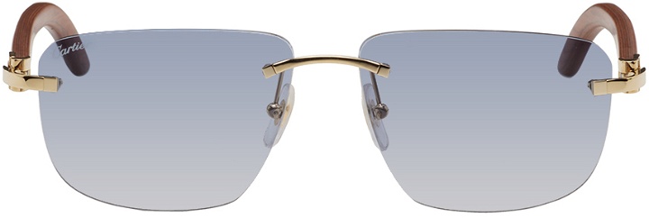 Photo: Cartier Brown & Gold Rectangular Sunglasses