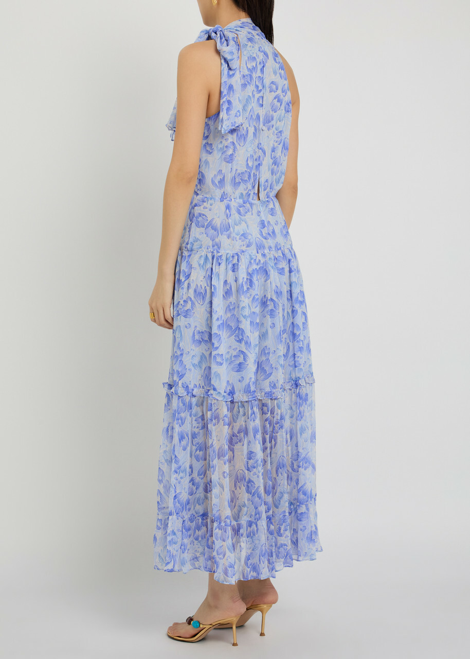 Rixo Abi Floral-print Chiffon Maxi Dress Light Blue