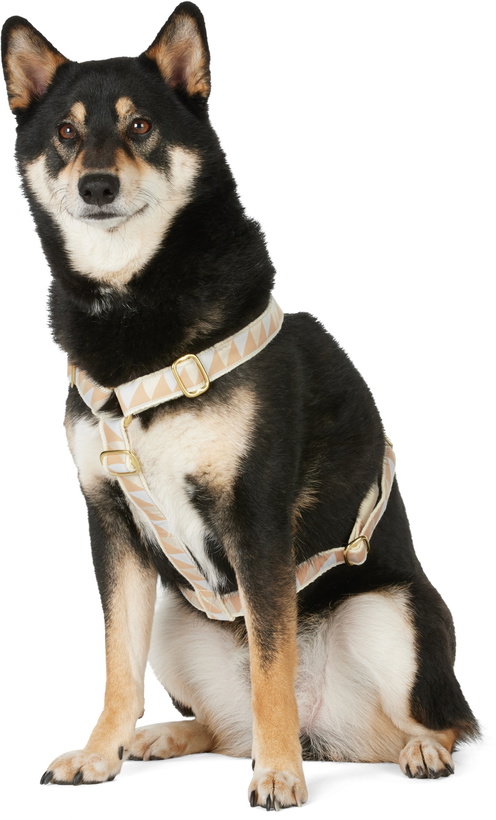 Photo: See Scout Sleep Beige & Off-White Medium Nice Grill Standard Collar