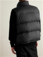 Auralee - Quilted Nylon-Ripstop Down Gilet - Black