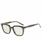 Gentle Monster Daze Sunglasses in Tortoise/Green 