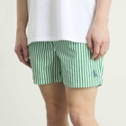 Calvin Klein Men's Medium Drawstring Swim Shorts in Penny Stripe/Mardi Gras Green