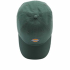 Dickies Women's Hardwick Cap in Dark Forest 