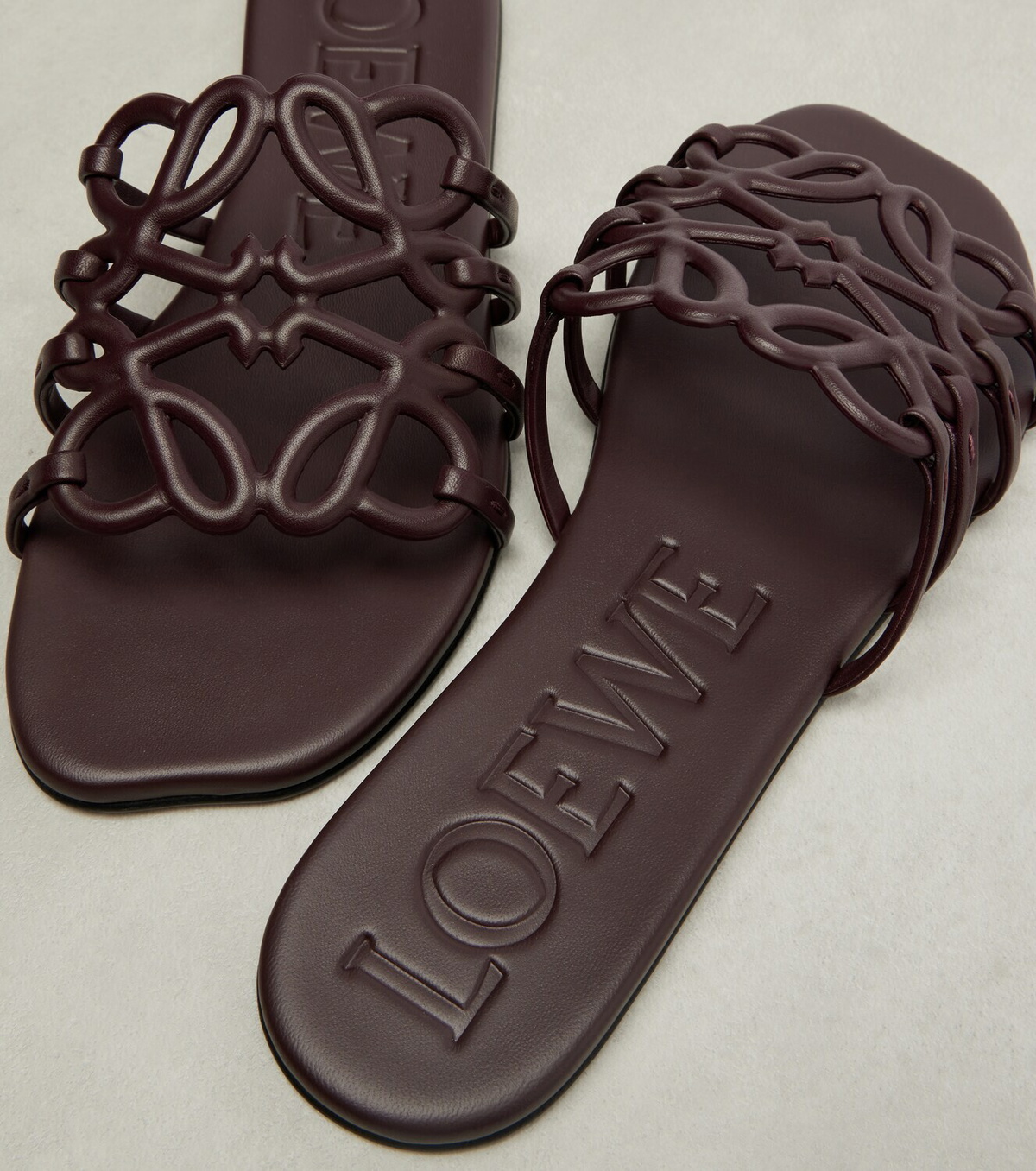 Loewe Petal Anagram leather slides