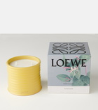 Loewe Home Scents Honeysuckle Medium candle