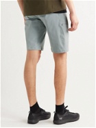 ARC'TERYX - Gamma LT Belted Fortius DW 2.0 Shorts - Gray