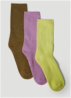 Three Pack Logo Socks in Multicolour