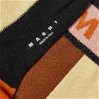 Marni Women's Logo Socks in Dust Apricot