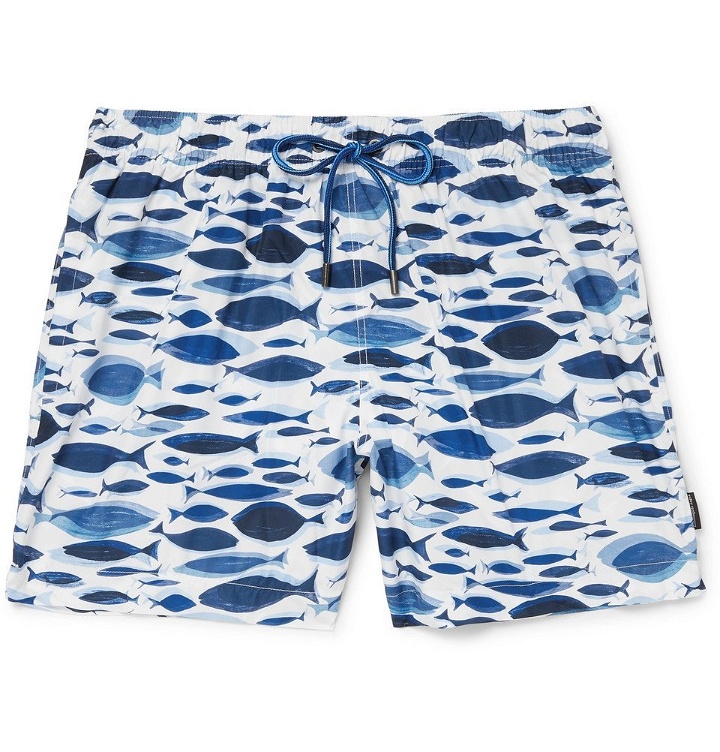 Photo: Ermenegildo Zegna - Mid-Length Printed Swim Shorts - Men - Blue