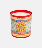 Dolce&Gabbana Casa - Gelsomino Selvatico scented candle
