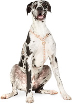 See Scout Sleep Black & Beige Large Nice Grill City Harness