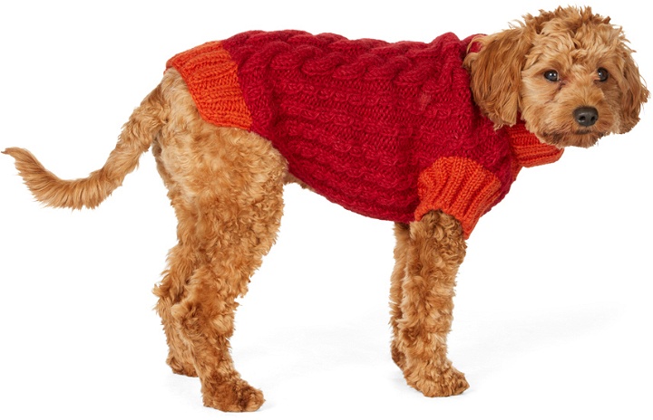 Photo: LISH Red & Orange Medium Wool Cable Wilmot Sweater