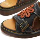 Dr. Martens Women's Dayne Sandals in Brown