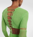 Roberta Einer Loona cotton crop top