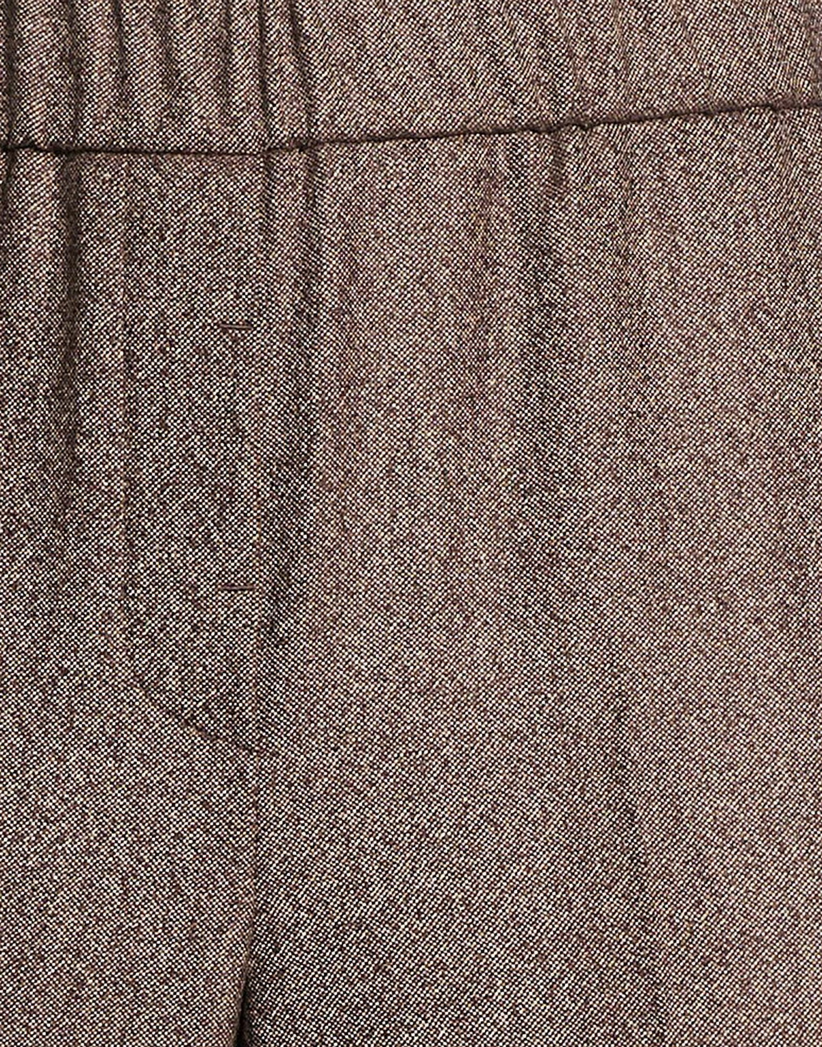 Peserico Womens Pants Chocolate in Brown