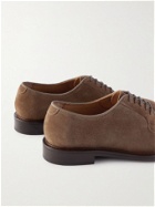Mr P. - Lucien Suede Derby Shoes - Brown