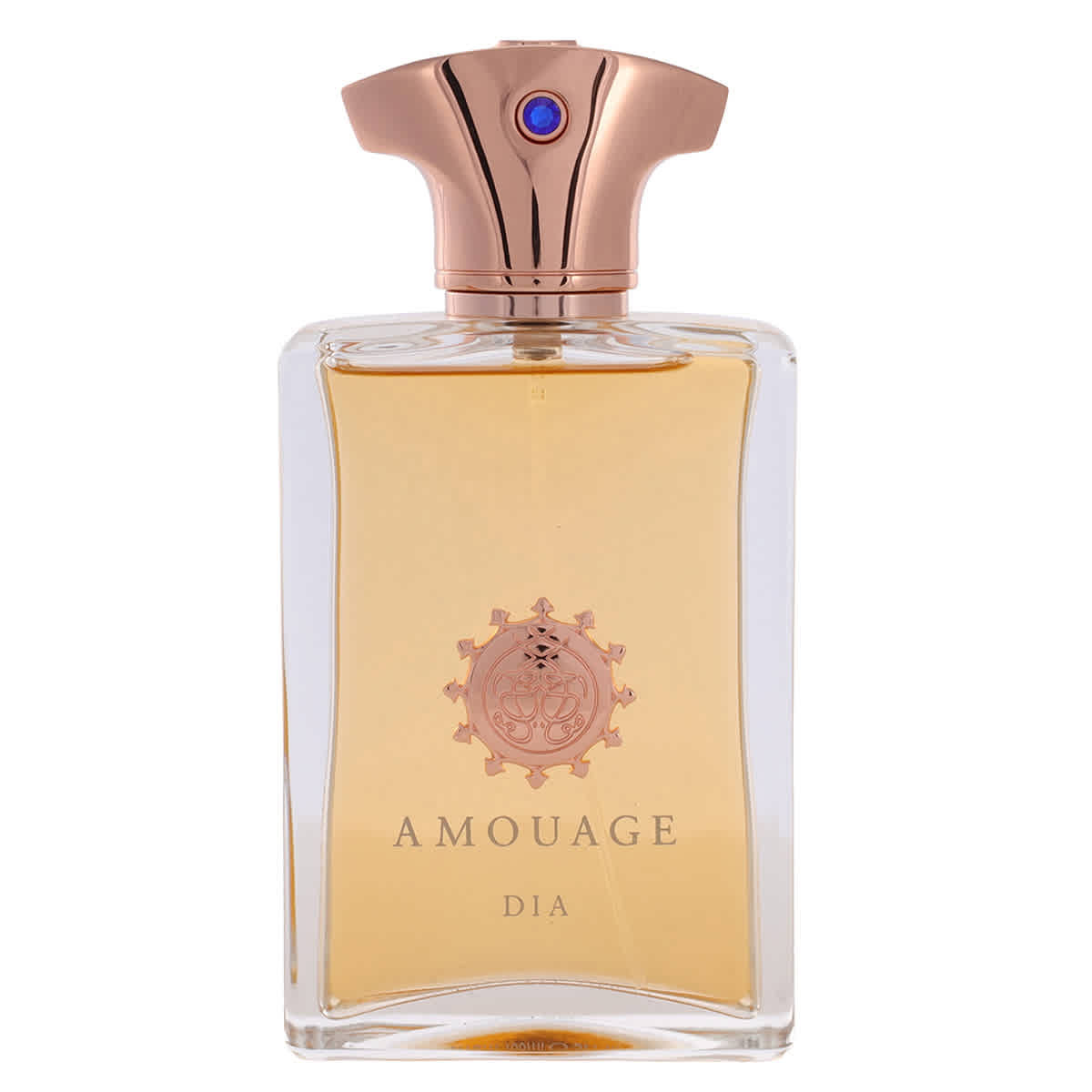 Amouage Mens Dia EDP Spray 3.4 oz (100 ml)