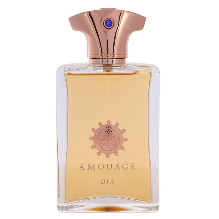 Photo: Amouage Mens Dia EDP Spray 3.4 oz (100 ml)