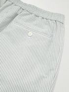 LE 17 SEPTEMBRE - Straight-Leg Pleated Striped Cotton Trousers - Gray