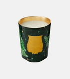 Trudon Fir Intermediate scented candle