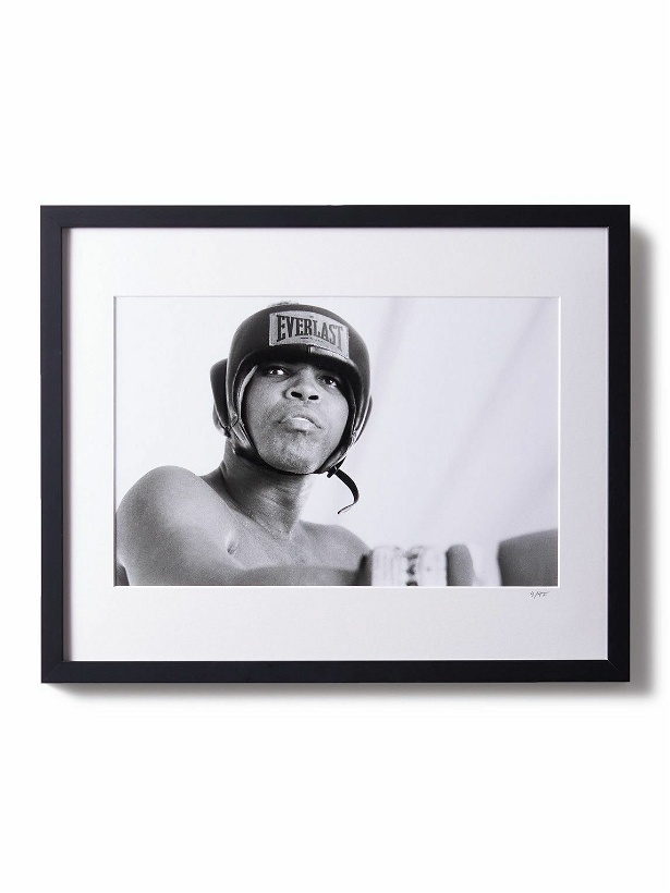Photo: Sonic Editions - Framed Ali in Deer Lake Print, 16&quot; x 20&quot;