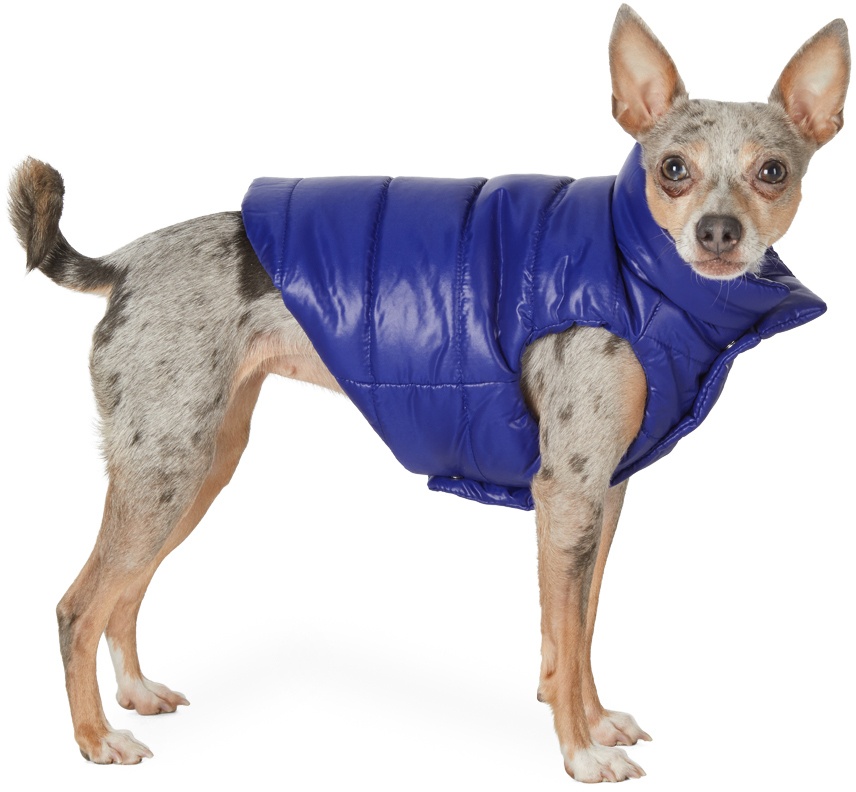 Photo: Moncler Genius Blue Poldo Dog Couture Edition Mondog Jacket