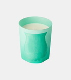 Trudon Under The Trees scented candle by Alexandra Carlin
