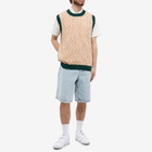 Polar Skate Co. Men's Big Boy Shorts in Light Blue