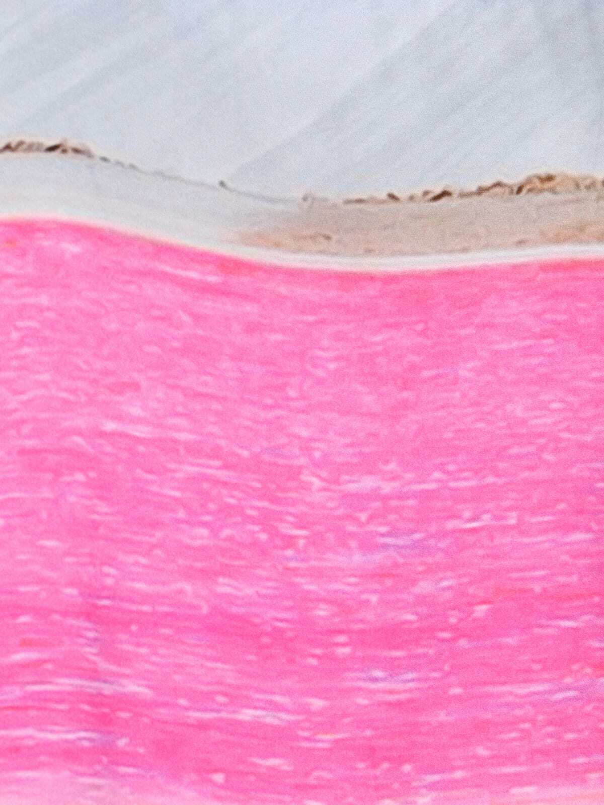 Blue Sky Inn pink Salt Shirt