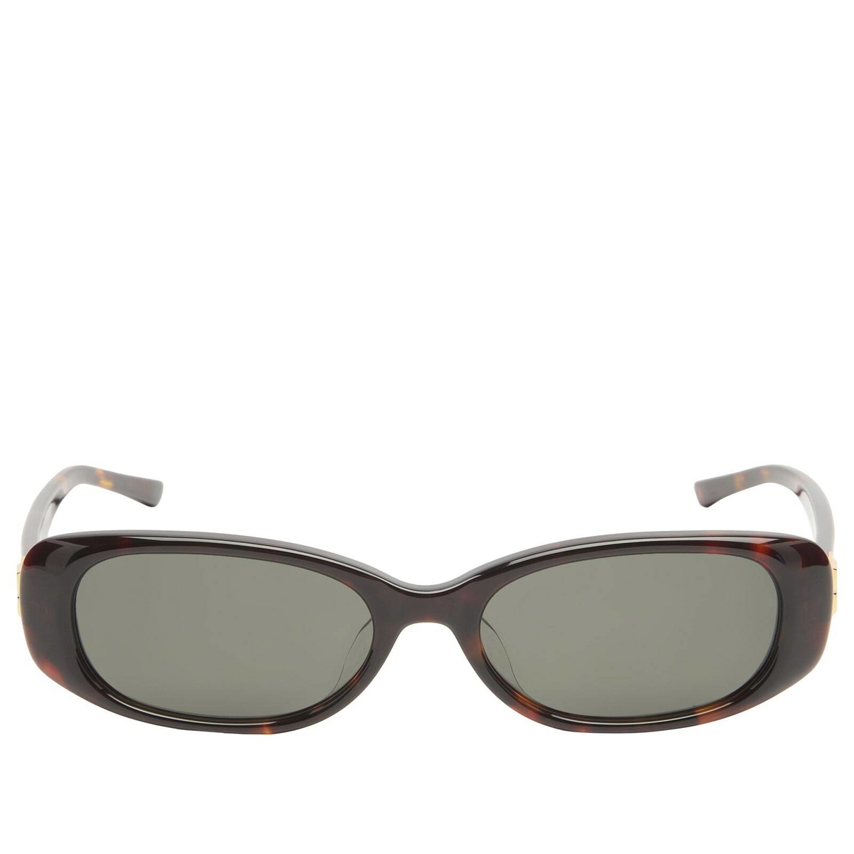 Gentle Monster Dust Musk Sunglasses in Tortoise/Black 