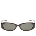 Gentle Monster Dust Musk Sunglasses in Tortoise/Black 