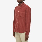 Portuguese Flannel Men's Lobo Button Down Corduroy Shirt in Bordeaux