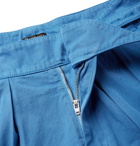 Rubinacci - Manny Pleated Cotton-Twill Bermuda Shorts - Blue