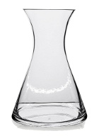 Stand Up Carafe in Transparent