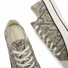 Converse Chuck Taylor 1970s Ox Sneaker in Pale Surplus/Egret/Black