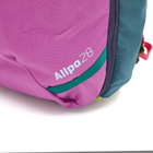 Cotopaxi Men's Allpa 28L Travel Pack in Del Dia 