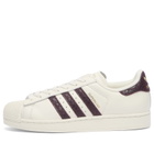 Adidas Superstar II Sneaker in Off White/Maroon/Gold Met