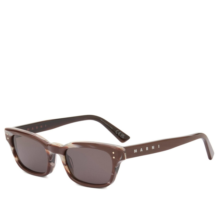 Photo: Retrosuperfuture Women's x Marni Floosa Sunglasses in Chocolate Horn 