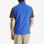 Arc'teryx Men's Atom Vest in Electra