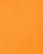 Msgm Mens Sweatshirt in Orange