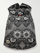 Moncler Genius - Poldo Dog Couture Printed Logo-Appliquéd Quilted Padded Shell Dog Gilet - Black
