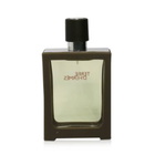 Terre Dhermes / Hermes EDT Spray Refillable 1.0 oz (30 ml) (m)