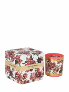 DOLCE & GABBANA - Musk Rose Scented Candle