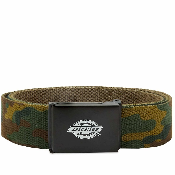 Photo: Dickies Men's Orcutt Belt in Camouflage