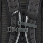 Osprey Talon Pro 30 Backpack in Silver Lining 