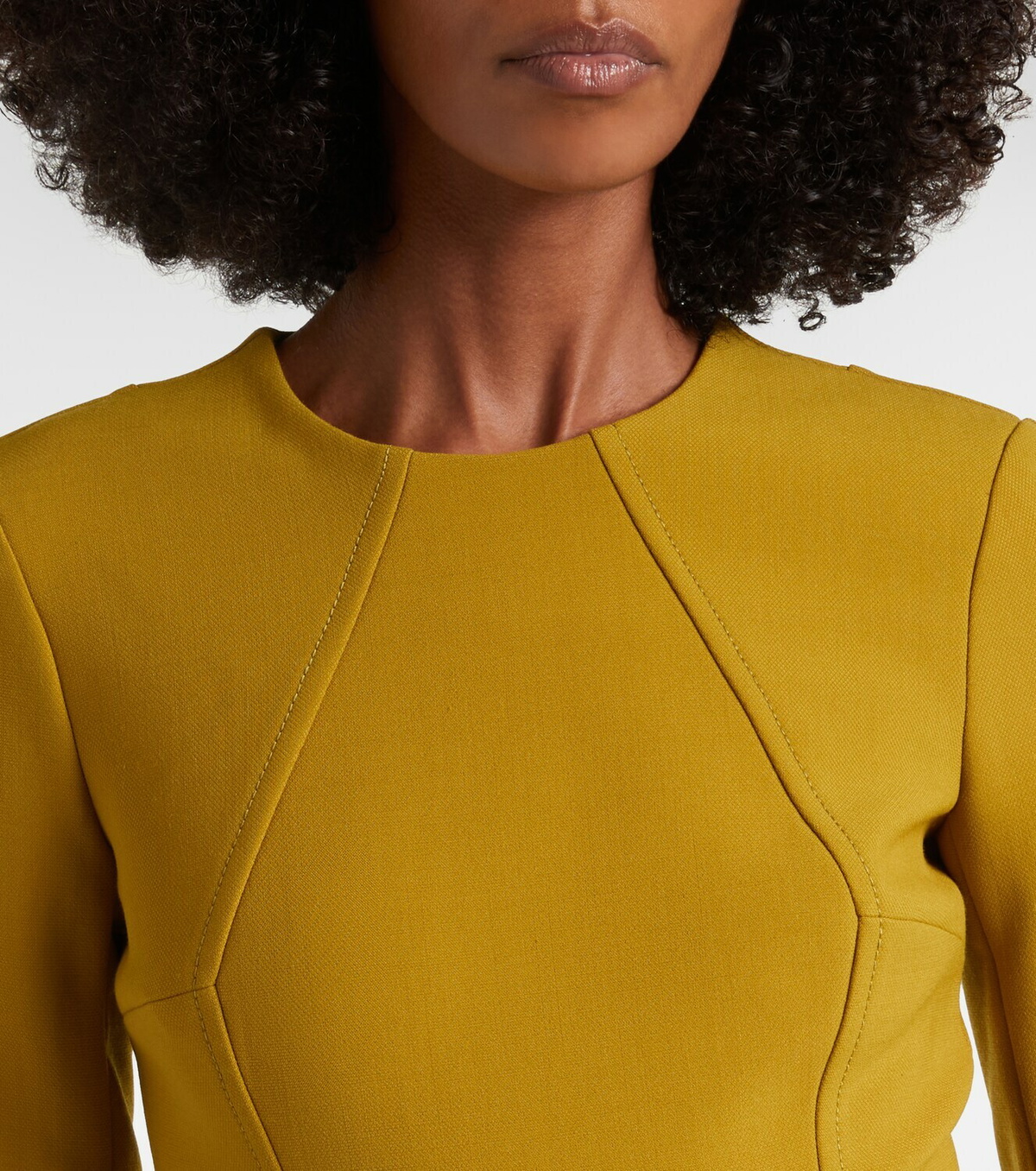 Emilia Wickstead Ucellina belted midi dress